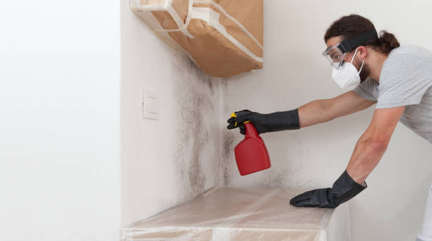 Professional Bathroom Mold Removal technician working in Centreville, MD